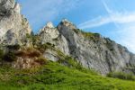 2014-07-05_Laengental-N-Hochweg (786). JPG
